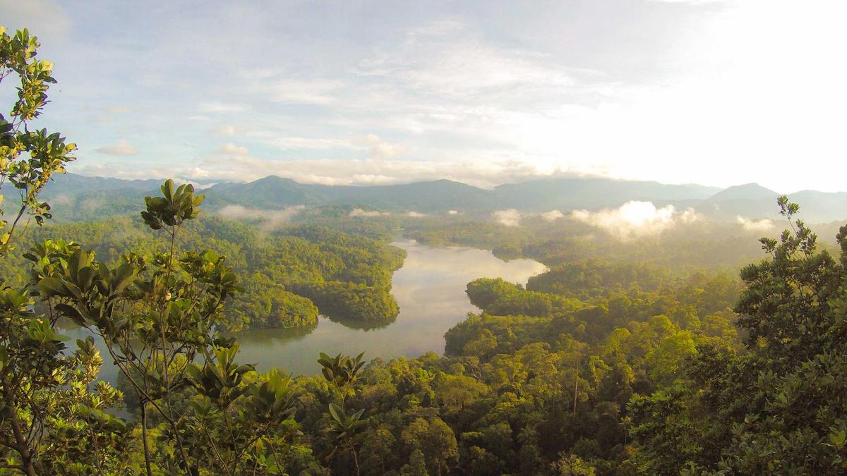 Artigo sobre Melancia 10