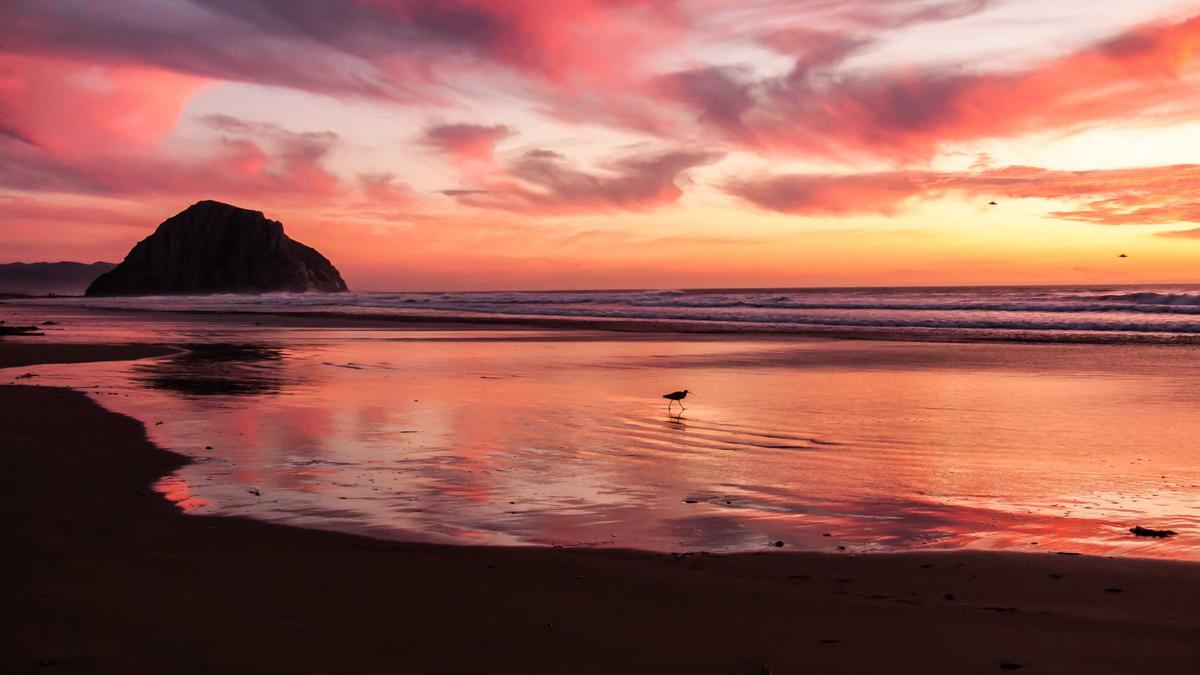 Artigo sobre Melancia 11