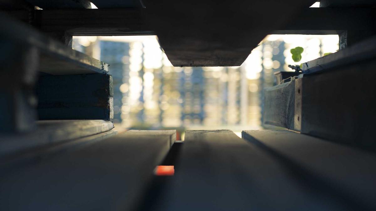 Artigo sobre Melancia 14