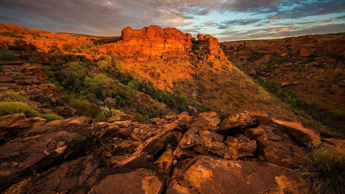 Artigo sobre Melancia 16