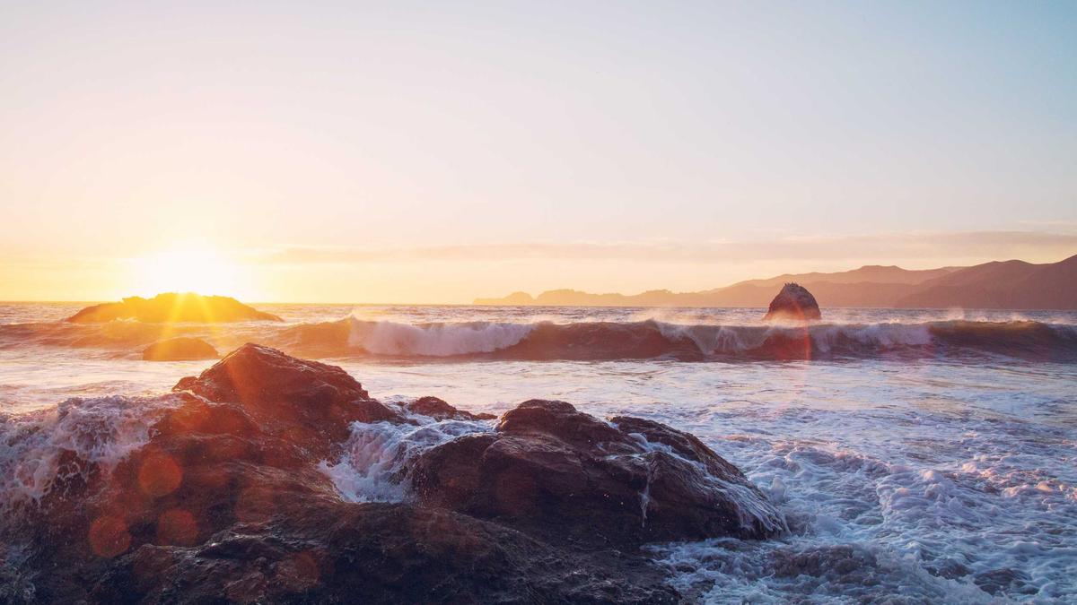 Artigo sobre Melancia 17