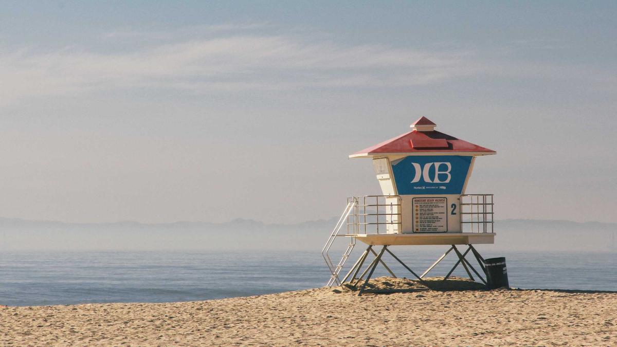 Artigo sobre Melancia 20