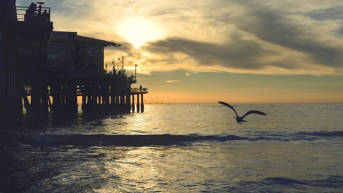 Artigo sobre Melancia 24