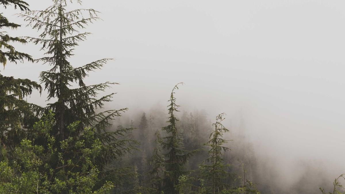 Artigo sobre Melancia 25