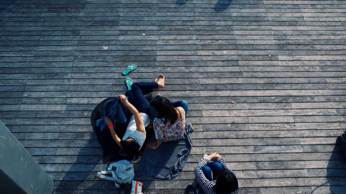 Artigo sobre Melancia 26