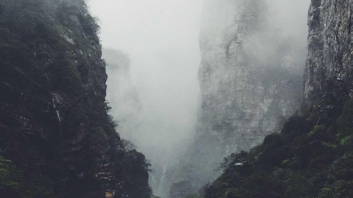 Artigo sobre Melancia 3