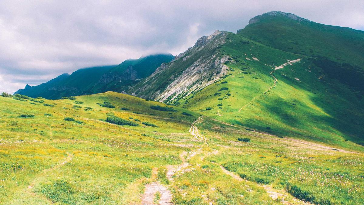 Artigo sobre Melancia 30