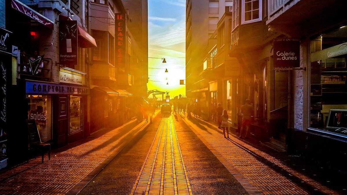 Artigo sobre Melancia 34