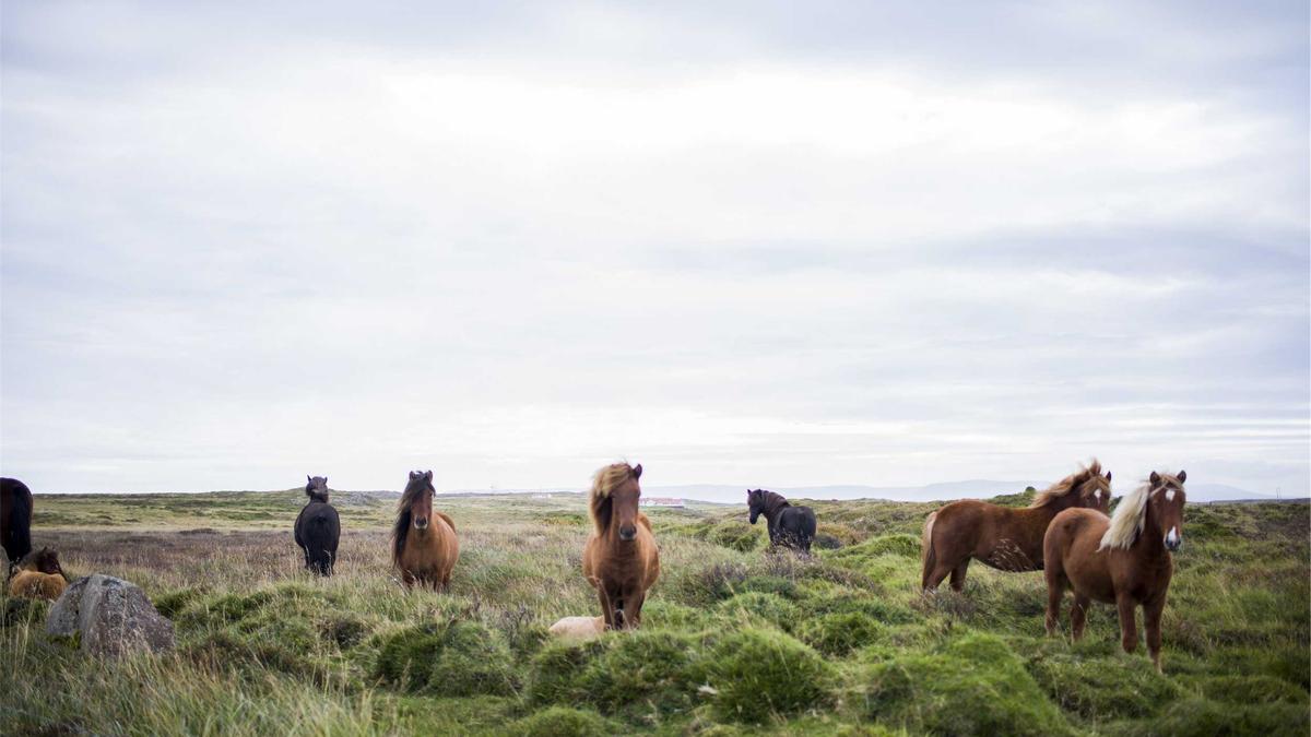 Artigo sobre Melancia 40
