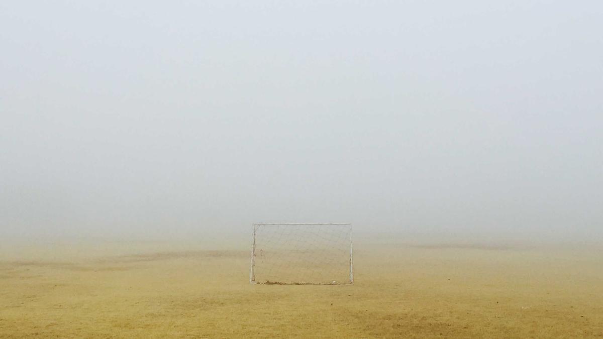 Artigo sobre Melancia 43