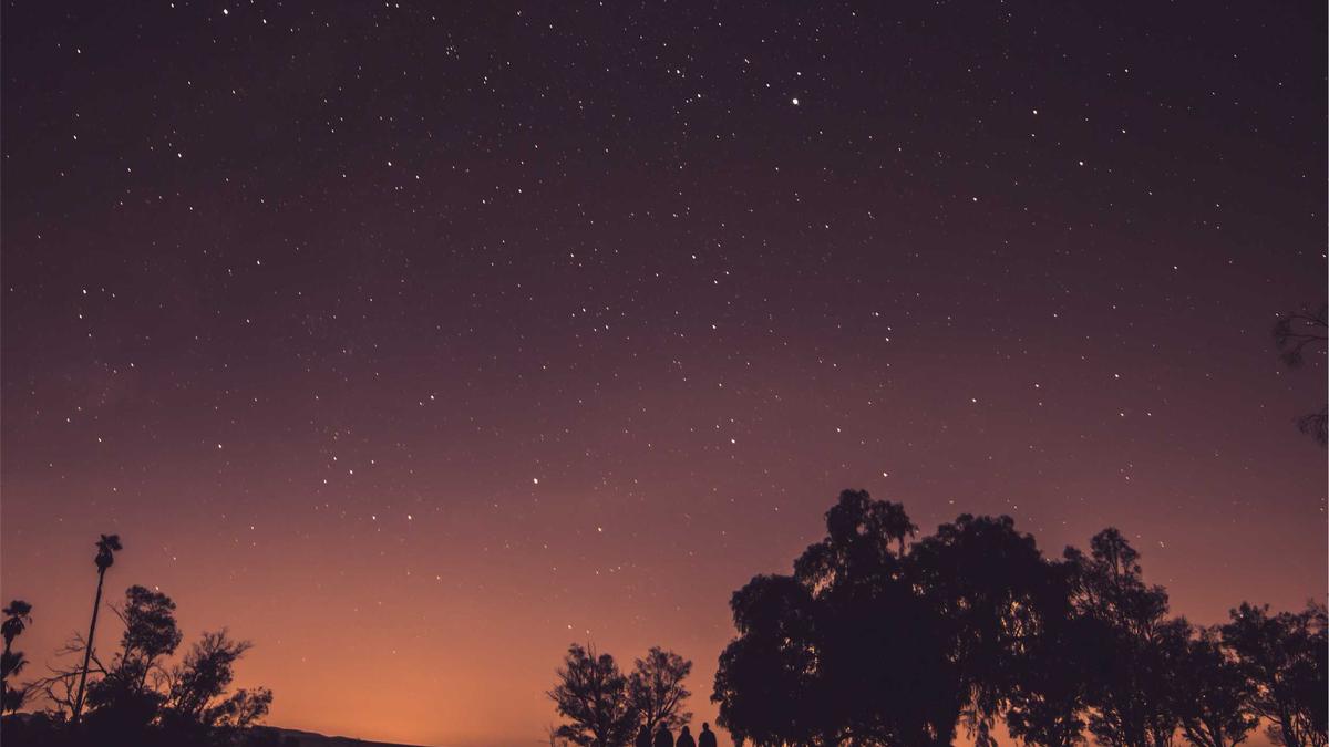 Artigo sobre Melancia 49