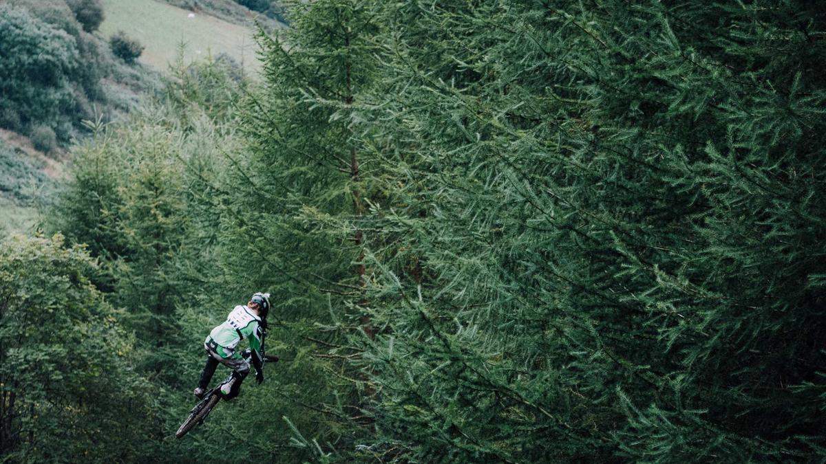 Artigo sobre Melancia 6