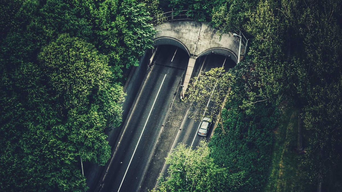 Artigo sobre Melancia 65