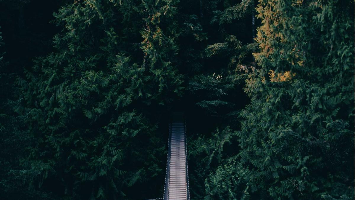 Artigo sobre Melancia 70