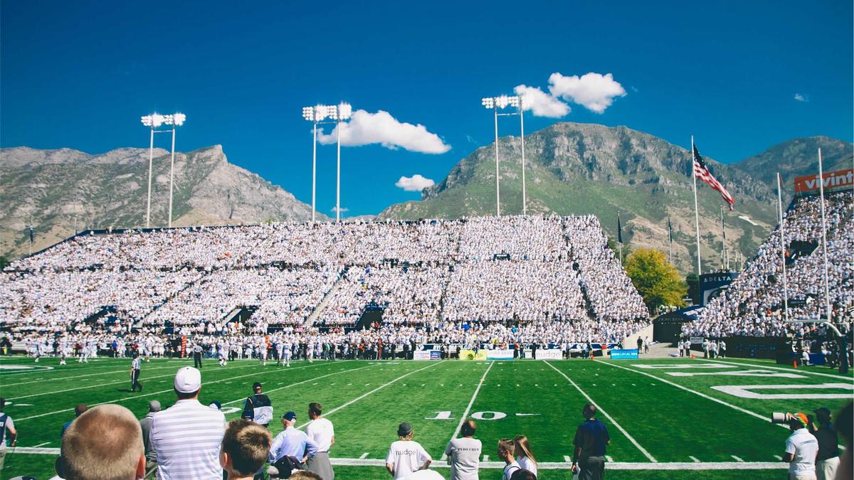 Artigo sobre Melancia 76