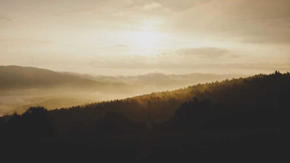 Artigo sobre Melancia 93