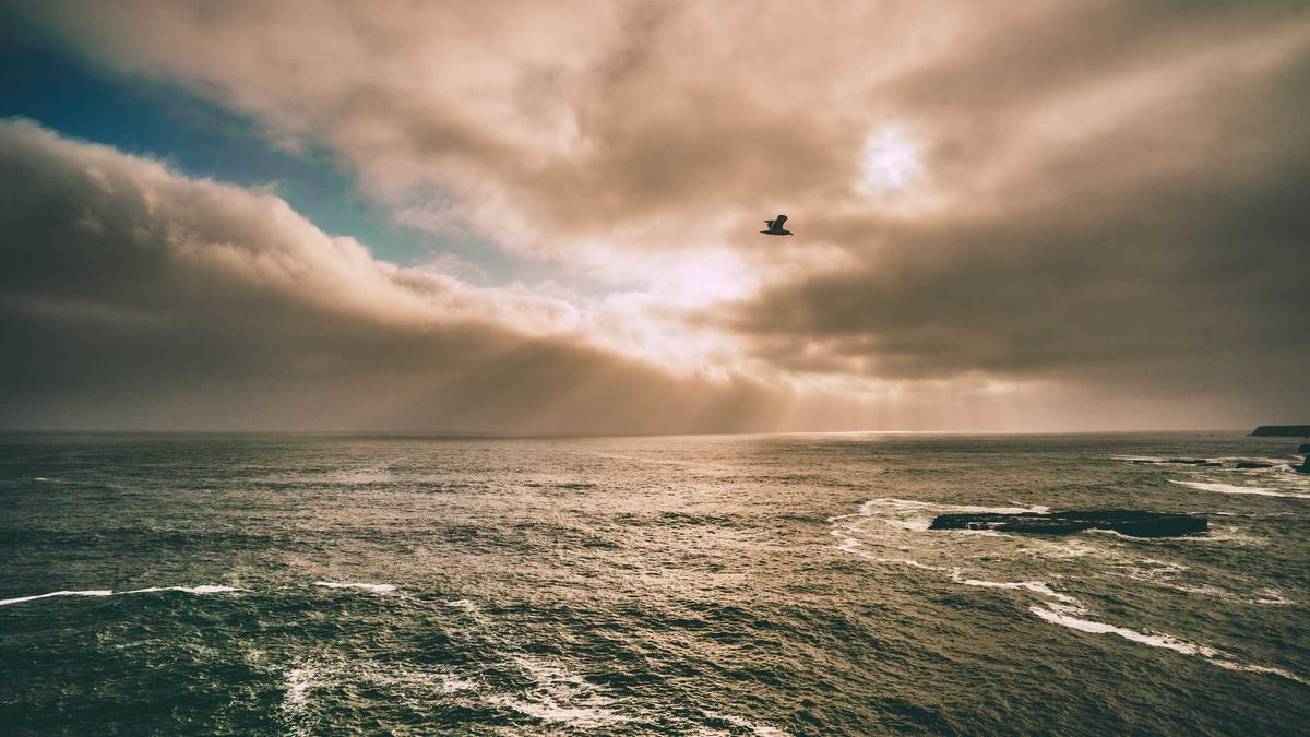 Artigo sobre Melancia 98